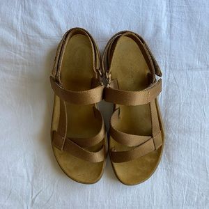 Everlane The ReNew Sport Sandal